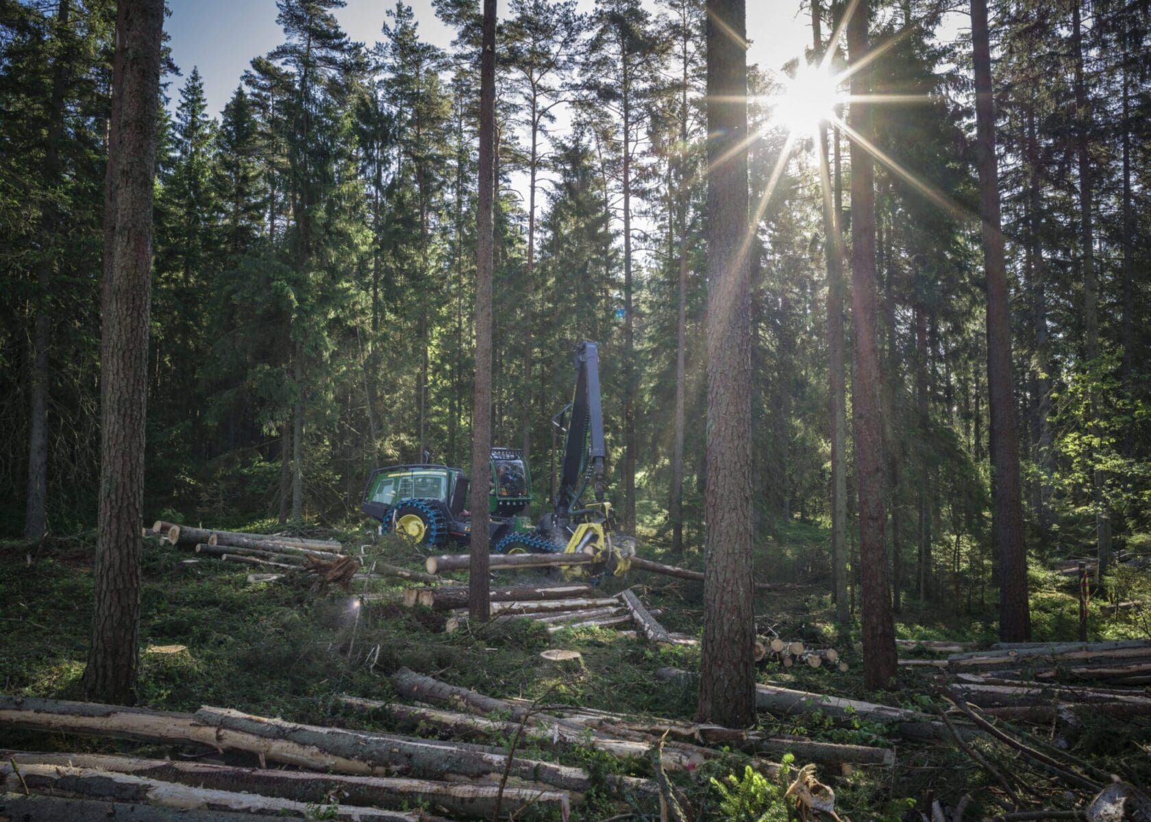 Skördare som arbetar i skogen