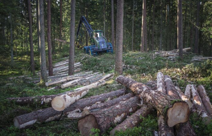 Grattis till BR. Nilsson Dagstorp – vinnare av The Golden Logger 2025!
