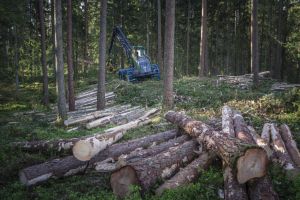 Grattis till BR. Nilsson Dagstorp – vinnare av The Golden Logger 2025!