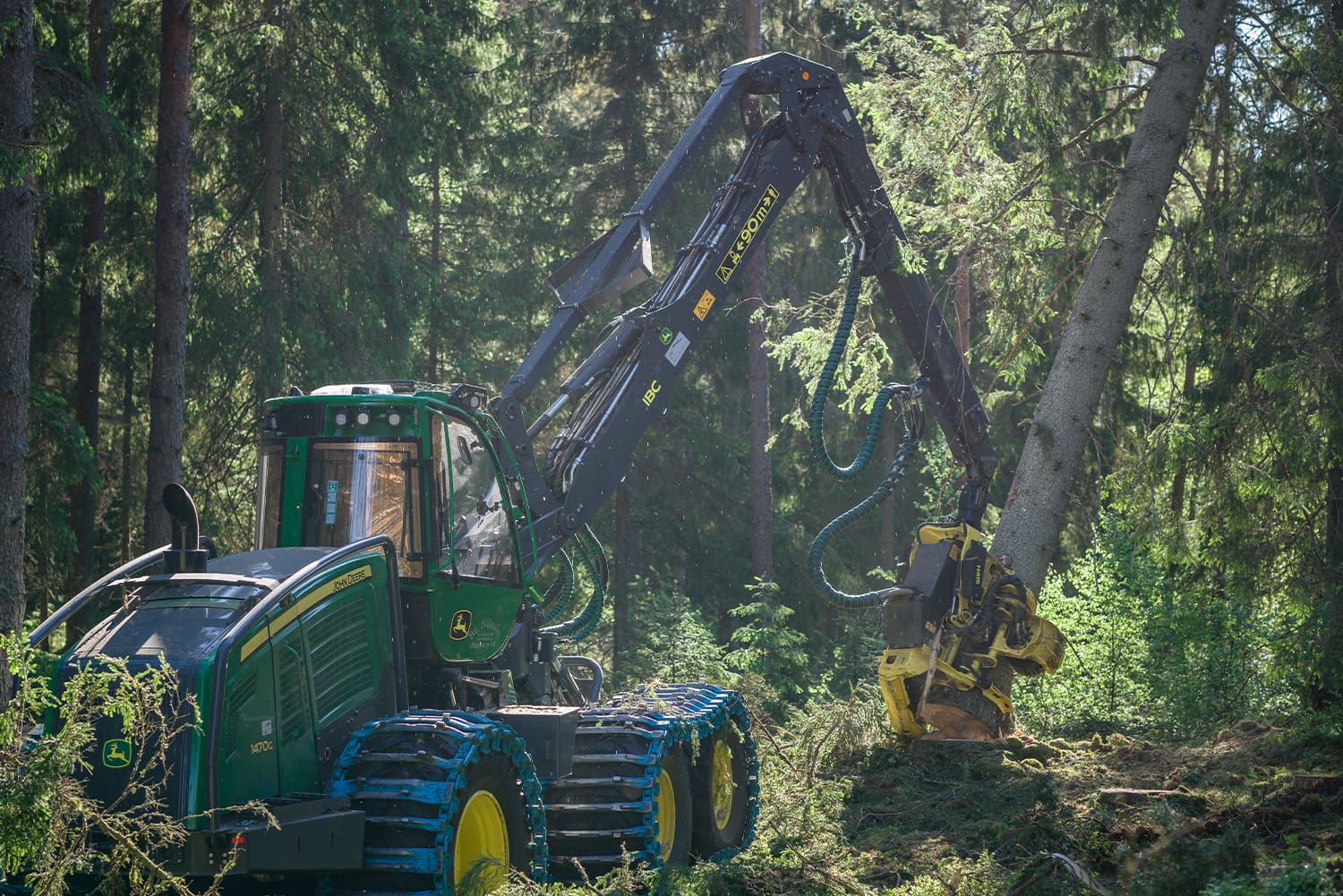 Skördare gallrar i granskog