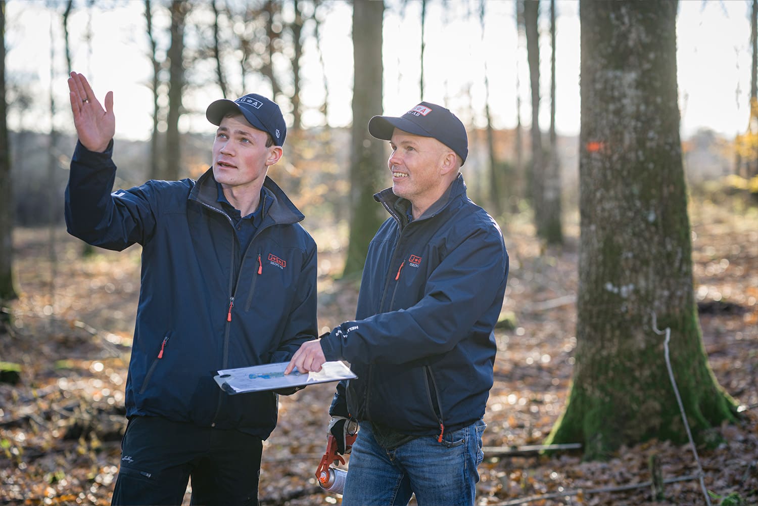 inköpare med skogsbruksplan i skog