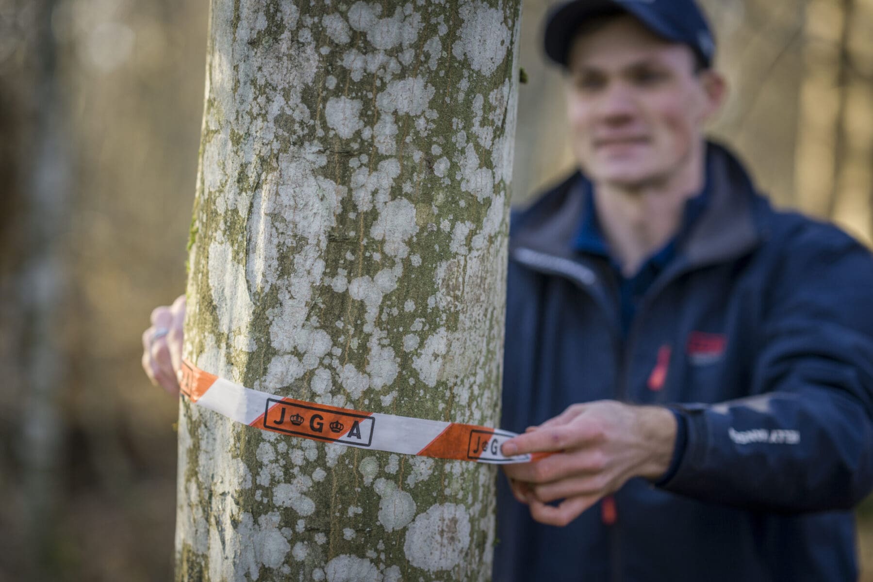 Snitsel i skogsbestånd