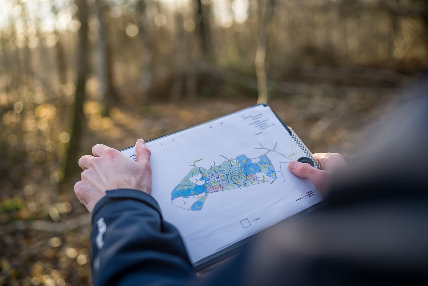 Skogsbruksplan med skog i bakgrund