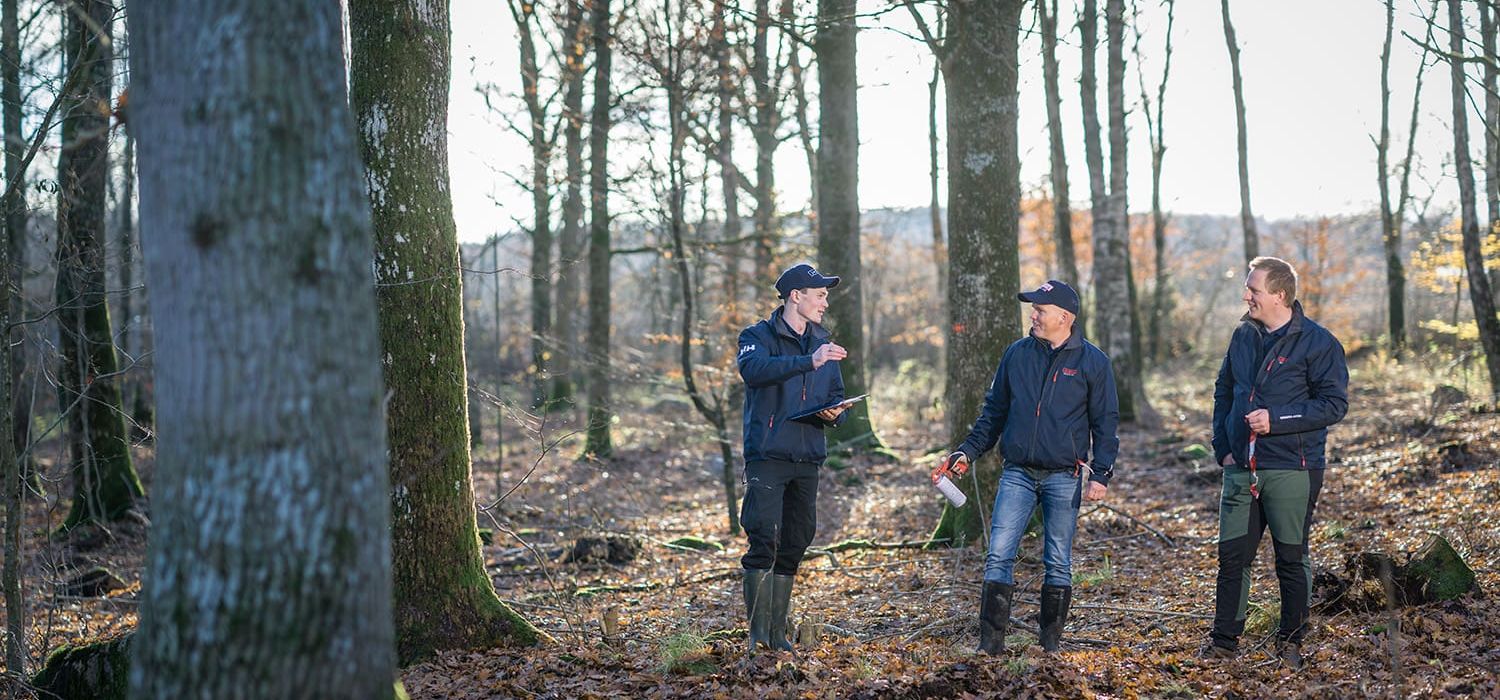 Virkesinköpare i skogen