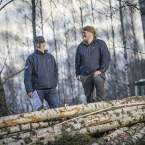 Virkesinköpare i skogen vid en trave björkstockar.