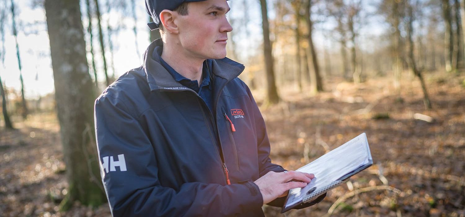 Inköpare i skog med skogsbruksplan i handen som ser ut över skogsområdet