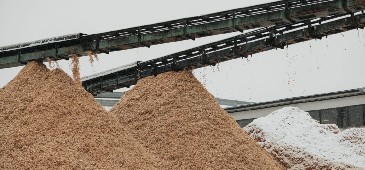 spån matas ut från sågen